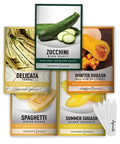 Squash Seeds for Planting 5 Individual Packets - Zucchini, Delicata, Butternut, Spaghetti and Golden Crookneck