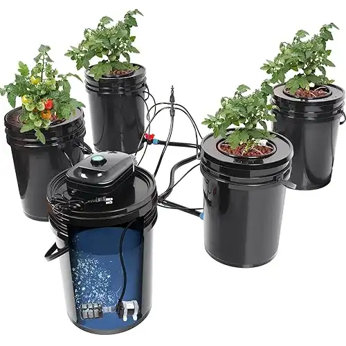 RDWC Top Feed Drip Hydroponics Systems, Recirculating Deep Water Culture Hydroponic Bucket System