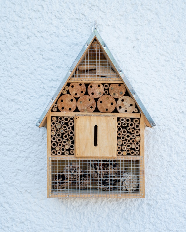 best bug hotel ideas 2