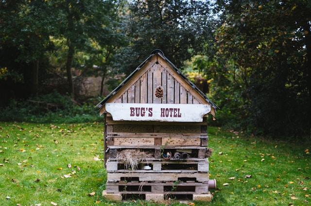 best bug hotel ideas