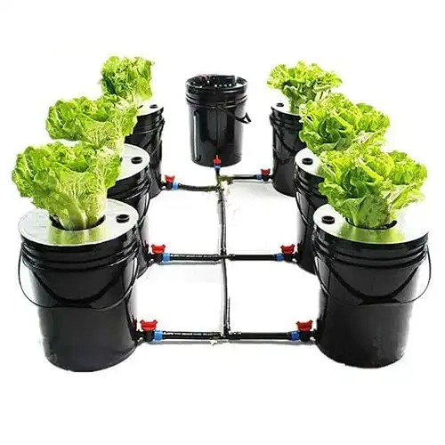 Hydroponic System, Growing System Kit 7 Bucket 5 Gallon Recirculating Deep Water Aquaculture