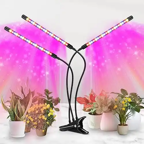 LED Grow Light