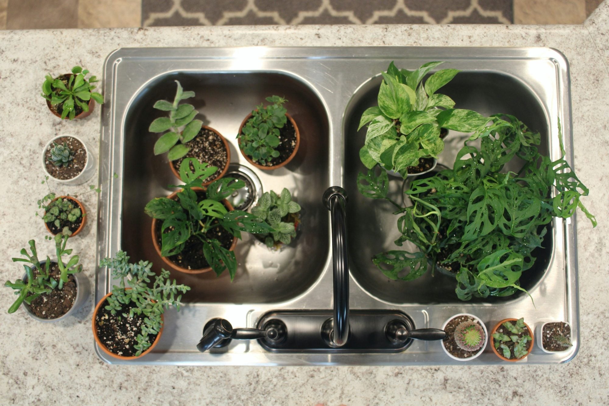 Best Self-Watering Planters for Busy Gardeners